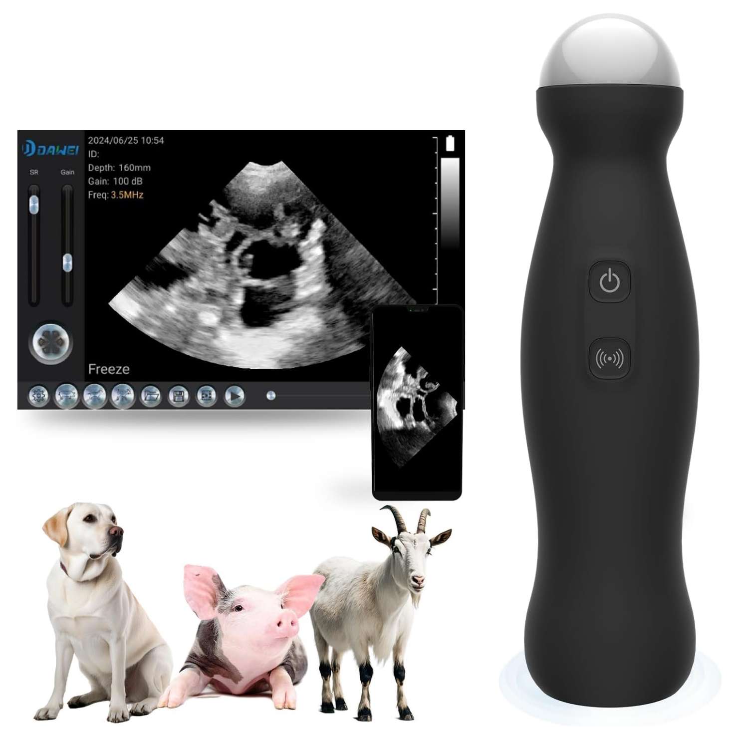 Ecógrafo Inalámbrico WIFI compatible con Android. Sonda IP67 Impermeable para Diagnóstico de Gestación y Medición de Grasa Dorsal en animales.