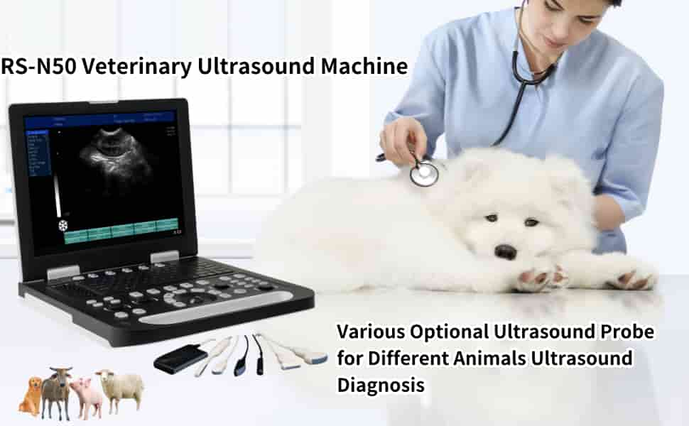 Ecografo veterinario portatil HD con opciones de sondas compatibles para el diagnostico animal.