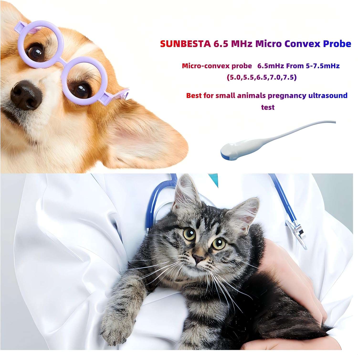 Ecografo veterinario portatil HD con opciones de sondas compatibles para el diagnostico animal.