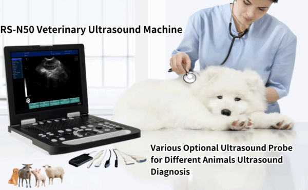 Ecógrafo Veterinario Portátil Pantalla 15" HD. Incluye Sonda Microconvexa 6.5 MHz. Diagnóstico Multiespecie (Perros, Gatos, Ganado).