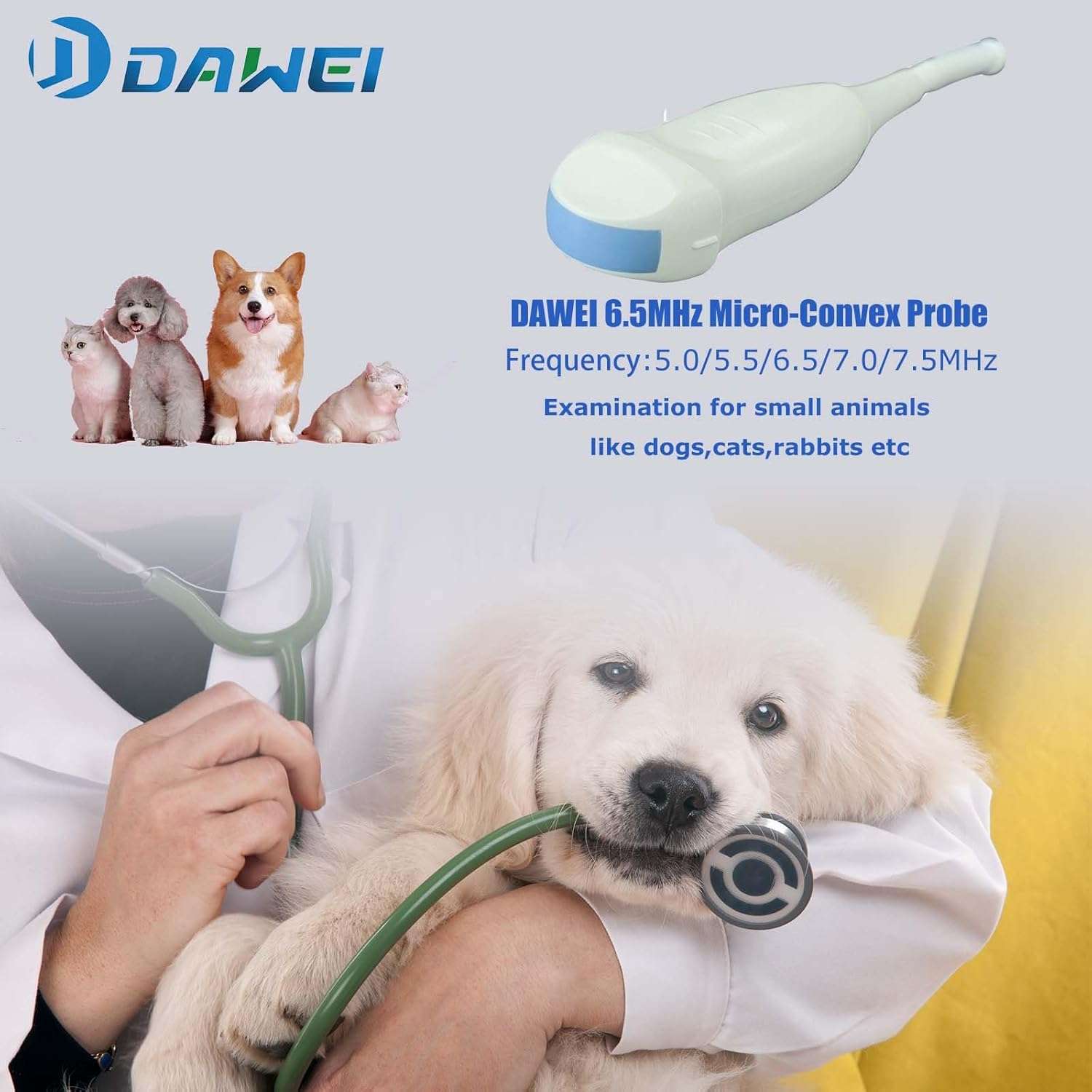 Ecógrafo Veterinario Portátil DAWEI MU10 con Pantalla HD 12.1 pulgadas. Incluye Sonda Micro-Convex para diagnóstico animal. Batería de larga duración (4 horas de trabajo).