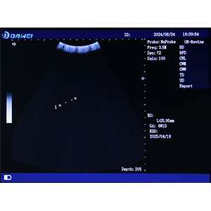 Ecógrafo Veterinario Portátil DAWEI MU10 con Pantalla HD 12.1 pulgadas. Incluye Sonda Micro-Convex para diagnóstico animal. Batería de larga duración (4 horas de trabajo).