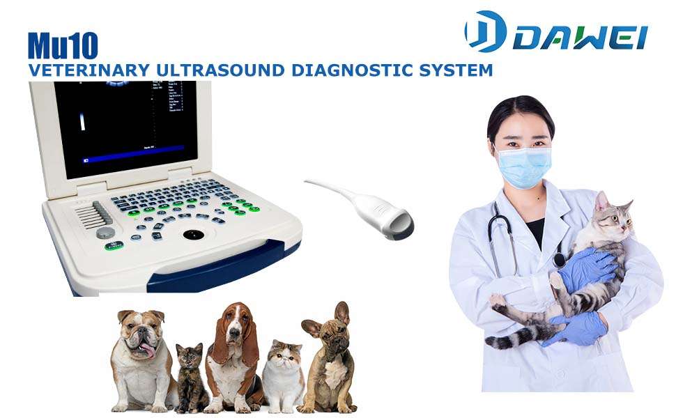 Ecógrafo Veterinario Portátil DAWEI MU10 con Pantalla HD 12.1 pulgadas. Incluye Sonda Micro-Convex para diagnóstico animal. Batería de larga duración (4 horas de trabajo).