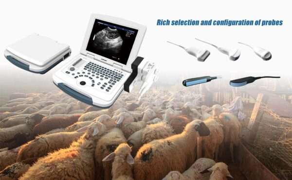 Ecógrafo Veterinario Portátil DAWEI MU10 con Pantalla HD 12.1 pulgadas. Incluye Sonda Micro-Convex para diagnóstico animal. Batería de larga duración (4 horas de trabajo).