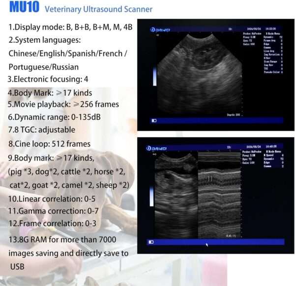 Ecógrafo Veterinario Portátil DAWEI MU10 con Pantalla HD 12.1 pulgadas. Incluye Sonda Micro-Convex para diagnóstico animal. Batería de larga duración (4 horas de trabajo).
