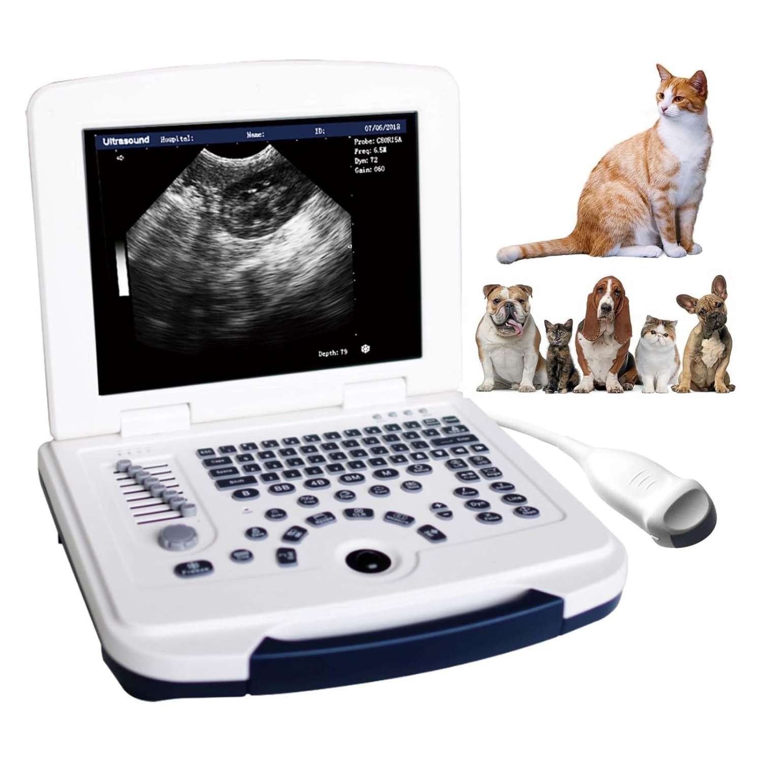 Ecógrafo Veterinario Portátil DAWEI MU10 con Pantalla HD 12.1 pulgadas. Incluye Sonda Micro-Convex para diagnóstico animal. Batería de larga duración (4 horas de trabajo).