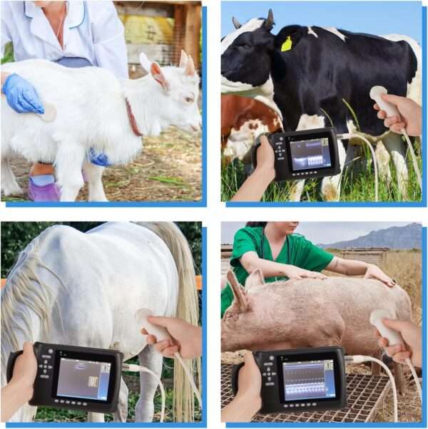 Ecógrafo Veterinario Portátil Multiespecie (816 g). Incluye Sonda Microconvexa 5.0 MHz. 4-6 horas de Batería para Registro Digital en campo.