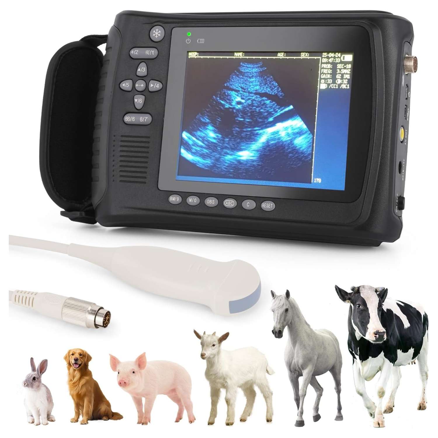 Ecógrafo Veterinario Portátil Multiespecie (816 g). Incluye Sonda Microconvexa 5.0 MHz. 4-6 horas de Batería para Registro Digital en campo.