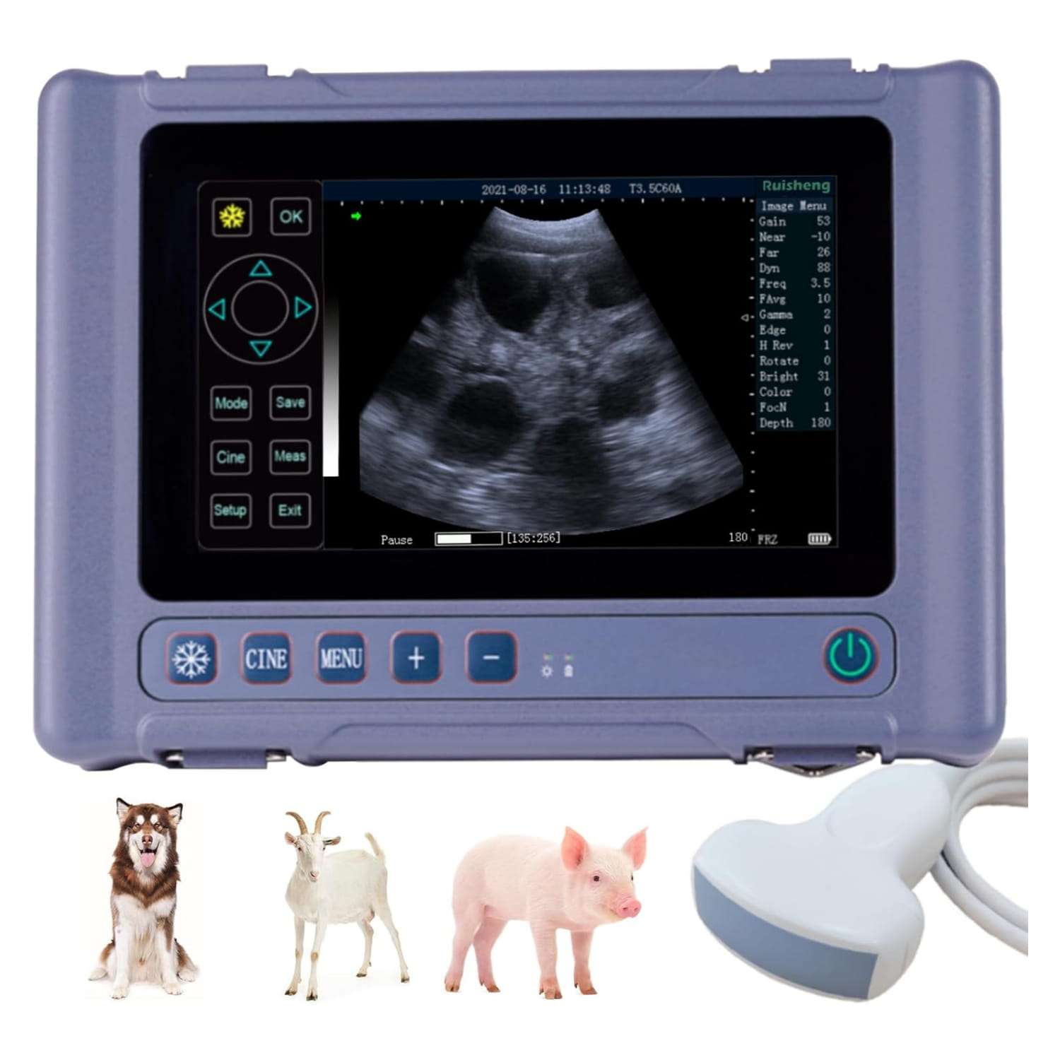 Ecógrafo Veterinario Portátil Táctil 8" HD. Incluye Sonda Convexa 3.5 MHz. 8 Horas de Batería para Diagnóstico Multiespecie.