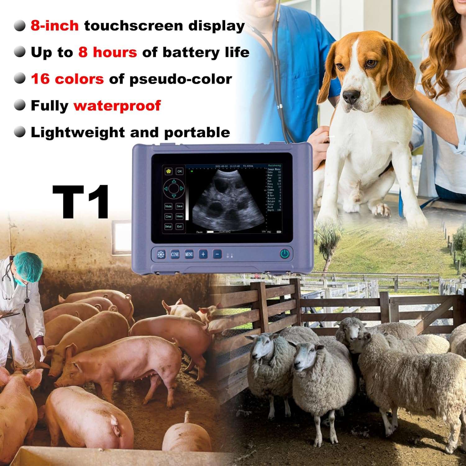 Ecógrafo Veterinario Portátil Táctil 8" HD. Incluye Sonda Convexa 3.5 MHz. 8 Horas de Batería para Diagnóstico Multiespecie.