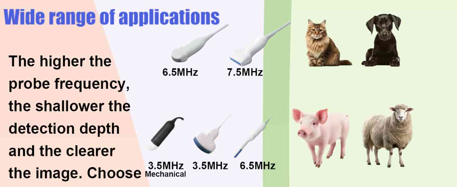 Ecógrafo Veterinario Portátil Táctil 8" HD | Incluye Sonda Convexa 3.5 MHz | Batería Récord 8 Horas - Imagen 13