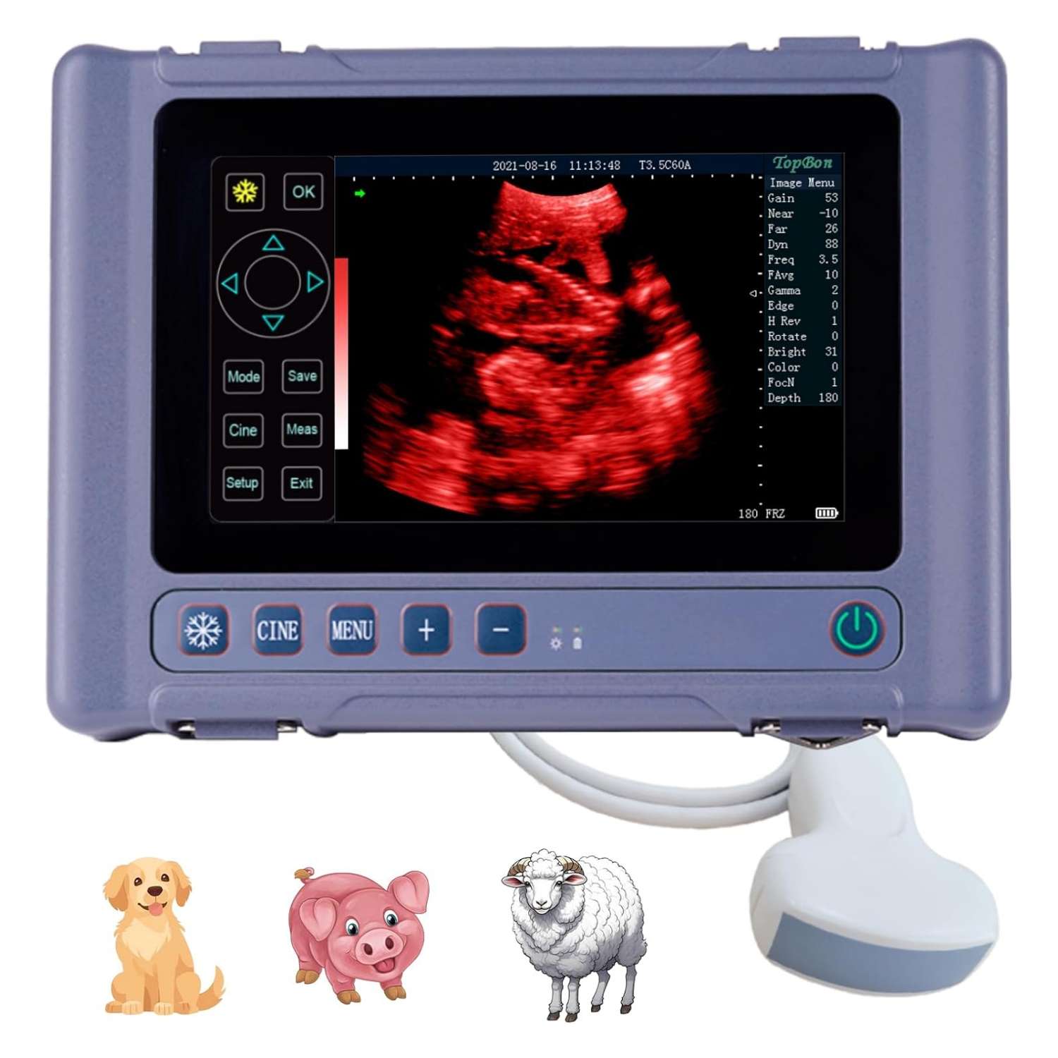 Ecógrafo Veterinario Portátil Táctil 8" HD. Incluye Sonda Convexa 3.5 MHz. 8 Horas de Batería para Diagnóstico Multiespecie.