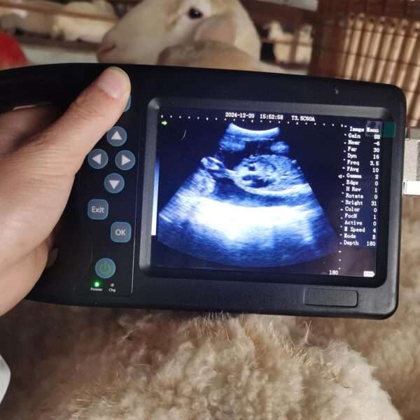 Ecógrafo Veterinario Portátil A8 con Sonda Convexa 3.5 MHz Impermeable. Diagnóstico de Gestación en Perros, Cerdos y Ganado. Pantalla 5.7" HD.