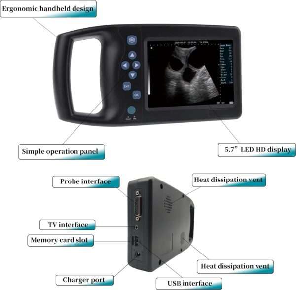 Ecógrafo Veterinario Portátil A8 con Sonda Convexa 3.5 MHz Impermeable. Diagnóstico de Gestación en Perros, Cerdos y Ganado. Pantalla 5.7" HD.