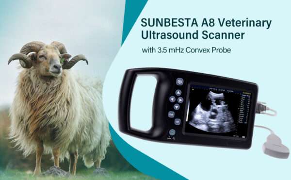Ecógrafo Veterinario Portátil A8 con Sonda Convexa 3.5 MHz Impermeable. Diagnóstico de Gestación en Perros, Cerdos y Ganado. Pantalla 5.7" HD.