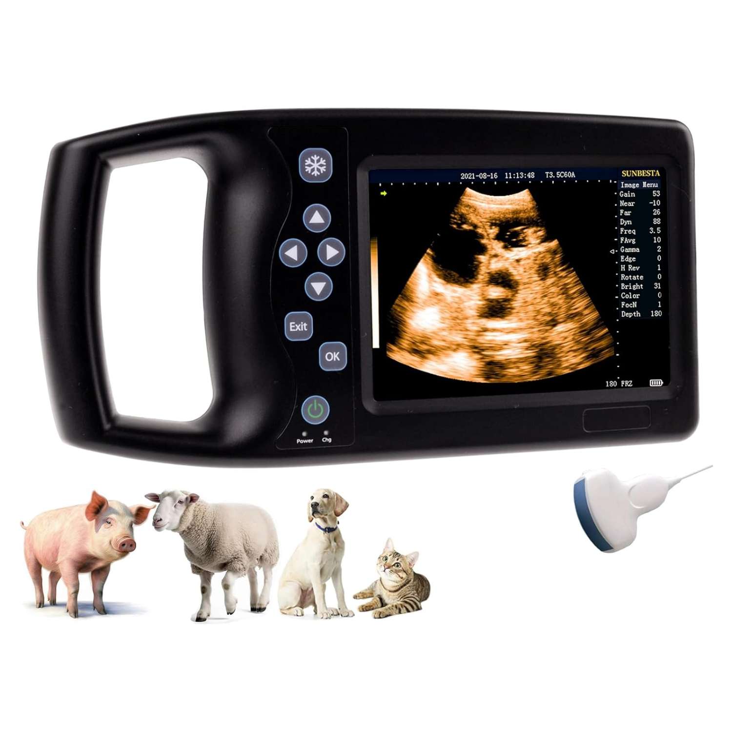Ecógrafo Veterinario Portátil A8 con Sonda Convexa 3.5 MHz Impermeable. Diagnóstico de Gestación en Perros, Cerdos y Ganado. Pantalla 5.7" HD.
