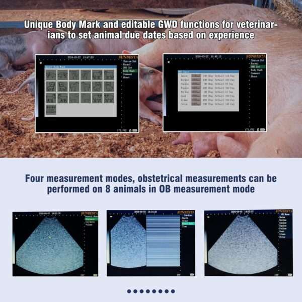 Ecógrafo Veterinario PDA A20 (950 g). Ultrasonido Portátil Multiespecie con Sonda Convexa 3.5 MHz. Diagnóstico de Gestación en campo.