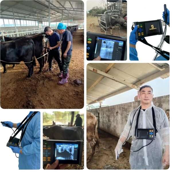 Ecógrafo Veterinario PDA A20 (950 g). Ultrasonido Portátil Multiespecie con Sonda Convexa 3.5 MHz. Diagnóstico de Gestación en campo.