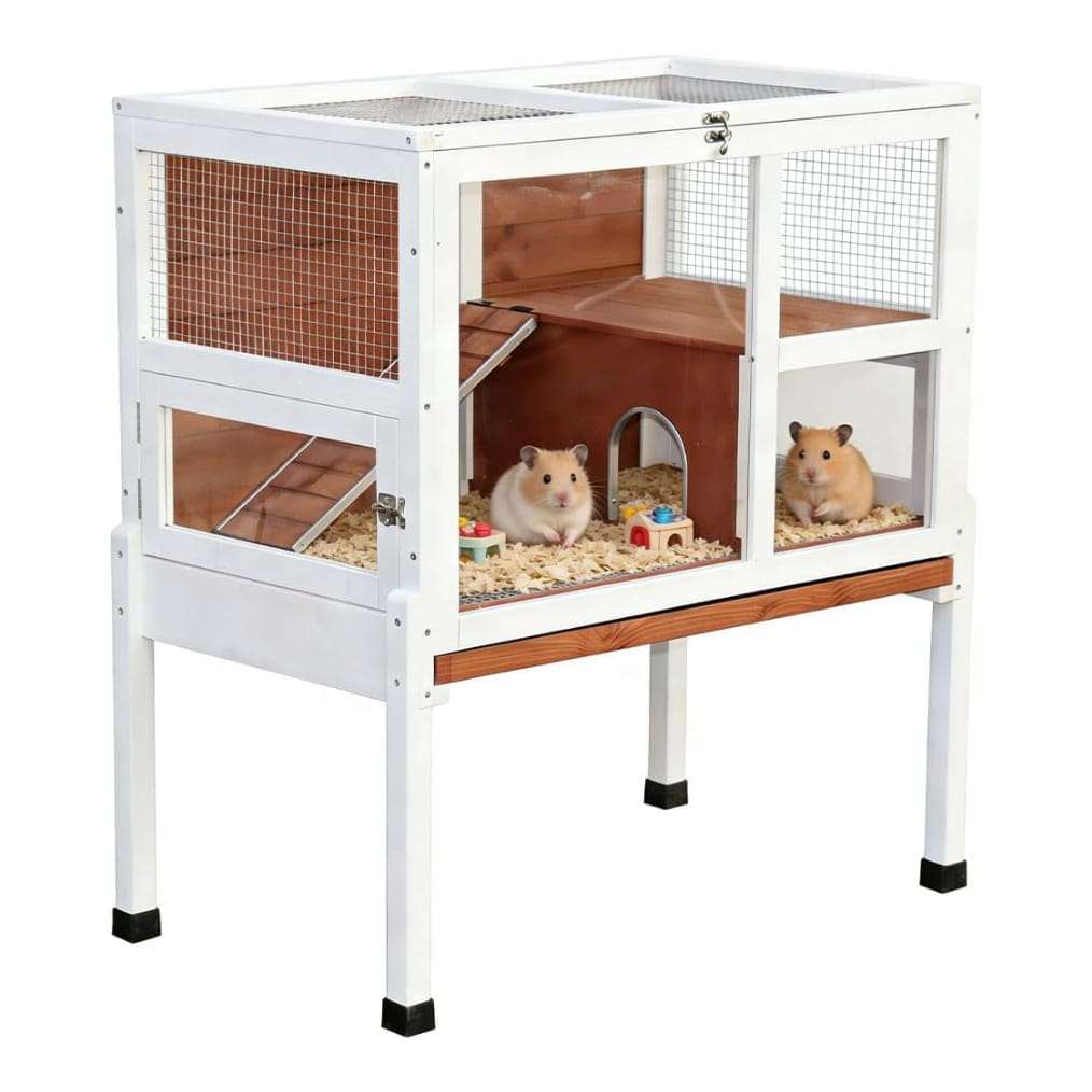 Hábitat de Lujo 2 Niveles para Conejos, Cuyes y Chinchillas | Acrílico 270° | Mueble Anti-Mordidas
