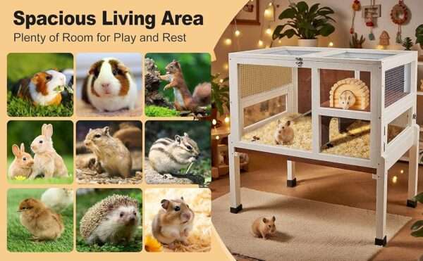 Hábitat de Lujo 2 Niveles para Conejos, Cuyes y Chinchillas | Acrílico 270° | Mueble Anti-Mordidas