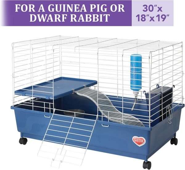 Hábitat Deluxe 2 Niveles para Cuyes / Conejos Enanos | 76×46×48 cm | Kit Completo y Anti-Mordidas