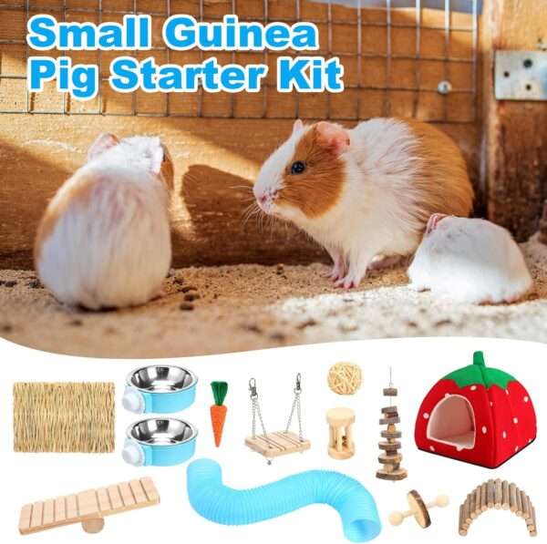 Kit 13 Accesorios Premium para Conejillo de Indias (Cuy). Incluye Cama Cueva Felpa XXL (26 cm), 8 Juguetes Molares y Comederos Colgantes.