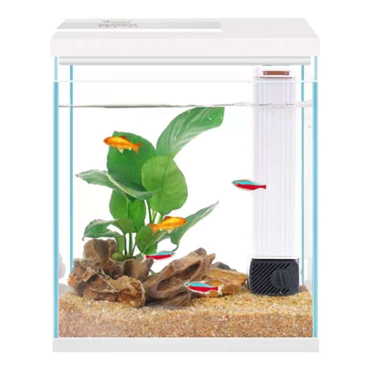 Acuario de cristal Kit Pro Betta 2 galones (15x21x28 cm) con Filtro Hang-On actualizado, luz LED 3 colores y temporizador para inicio fácil.