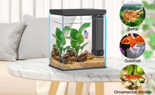 Acuario de cristal Kit Pro Betta 2 galones (15x21x28 cm) con Filtro Hang-On actualizado, luz LED 3 colores y temporizador para inicio fácil.