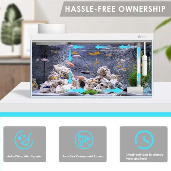 Acuario Inteligente Kit All-in-One con Control Total por App Bluetooth, alimentador automático, termómetro y Vidrio Ultra HD (30x18x14 cm).