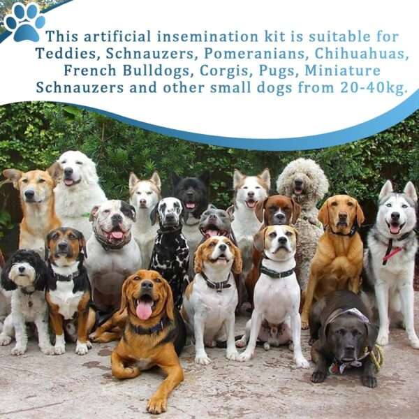 Kit de Inseminación Artificial Canina Profesional. Incluye Válvula Antirretorno. Silicona Médica para Perros Medianos y Grandes.