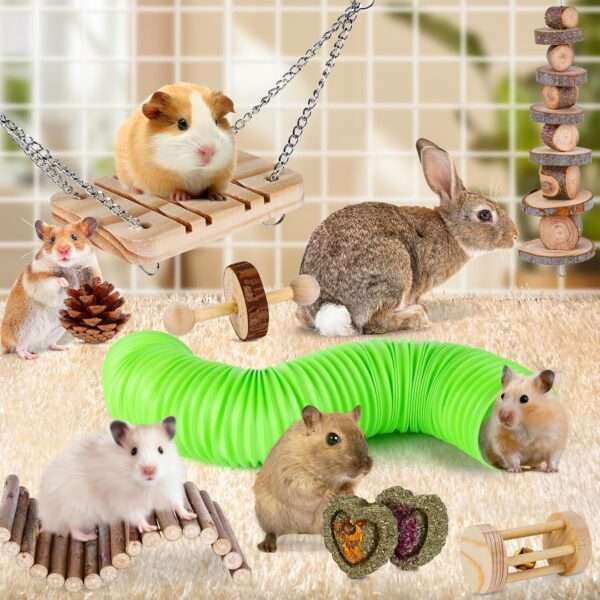 Kit molar 14+ piezas para roedores. Juguetes masticables de Madera de Manzana y Heno Timothy para Hámster, Jerbos, Cobayas y Chinchillas.