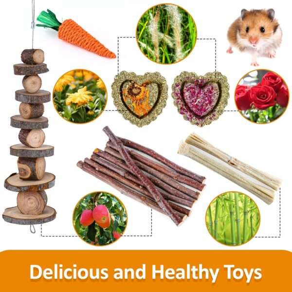 Kit molar 14+ piezas para roedores. Juguetes masticables de Madera de Manzana y Heno Timothy para Hámster, Jerbos, Cobayas y Chinchillas.