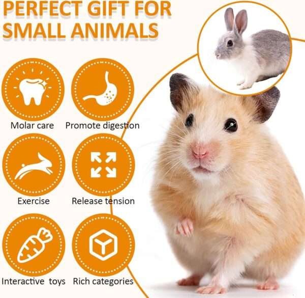 Kit molar 14+ piezas para roedores. Juguetes masticables de Madera de Manzana y Heno Timothy para Hámster, Jerbos, Cobayas y Chinchillas.