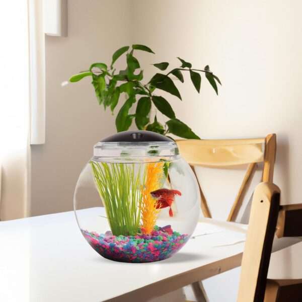 Mini pecera cilíndrica de 1 galón (20x23 cm). Construcción de plástico resistente a impactos, con luz LED de 7 colores y temporizador integrado. Ideal para Betta.
