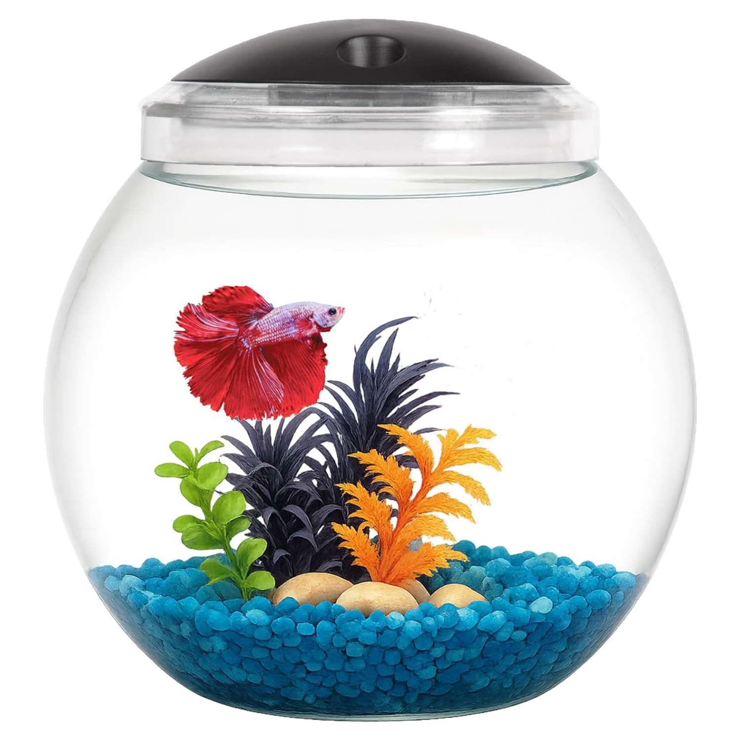 Mini pecera cilíndrica de 1 galón (20x23 cm). Construcción de plástico resistente a impactos, con luz LED de 7 colores y temporizador integrado. Ideal para Betta.