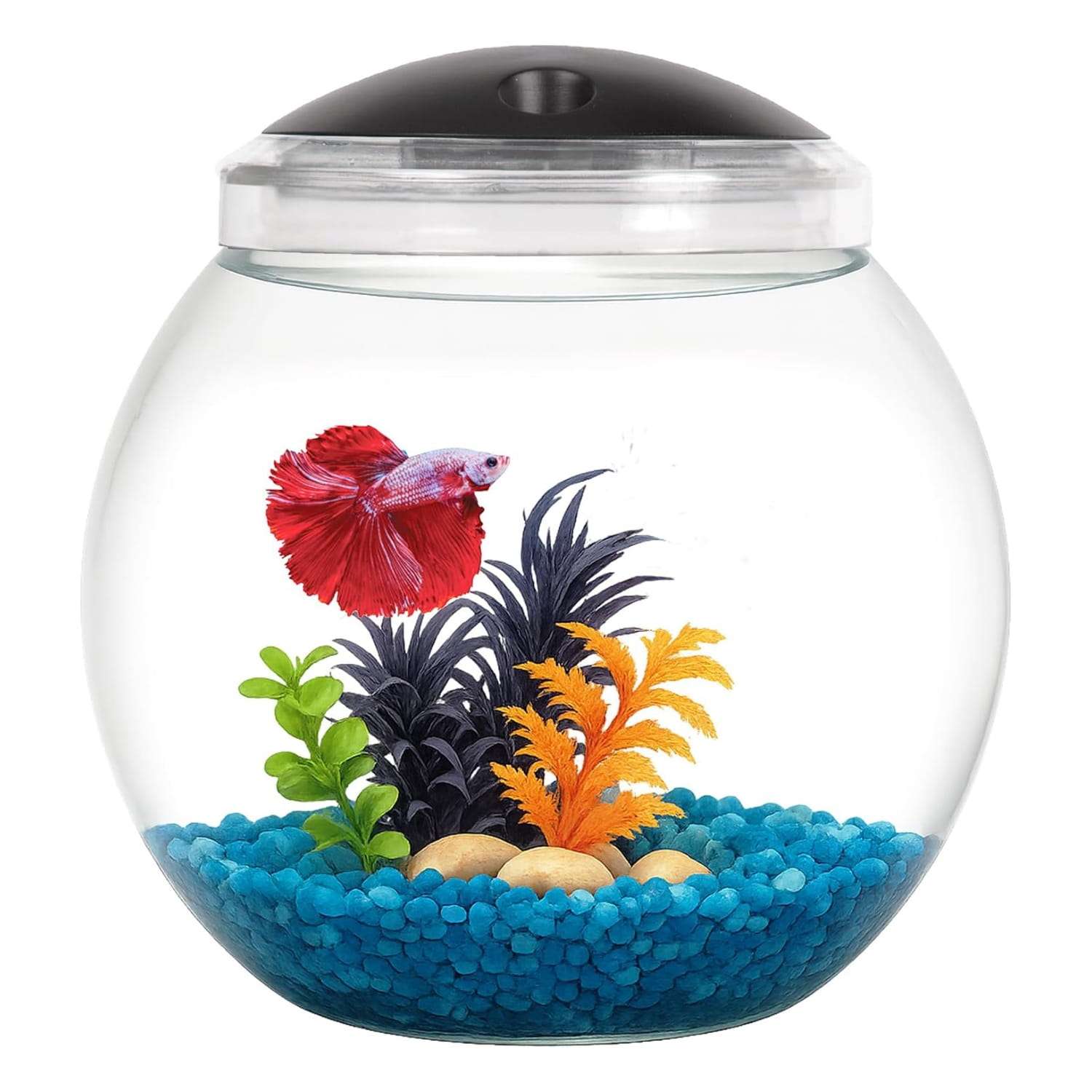 Mini pecera cilíndrica de 1 galón (20x23 cm). Construcción de plástico resistente a impactos, con luz LED de 7 colores y temporizador integrado. Ideal para Betta.