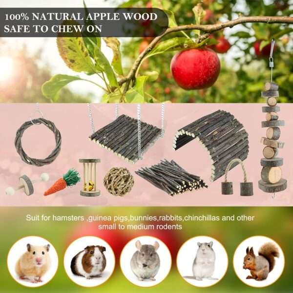 Kit molar 10+ piezas de Madera de Manzana y Heno Timothy 100% natural. Accesorios de enriquecimiento y ejercicio para Hámster, Cobayas y Roedores.