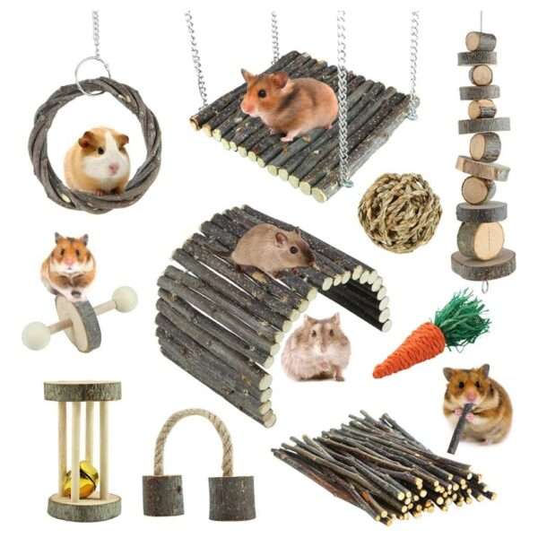 Kit molar 10+ piezas de Madera de Manzana y Heno Timothy 100% natural. Accesorios de enriquecimiento y ejercicio para Hámster, Cobayas y Roedores.