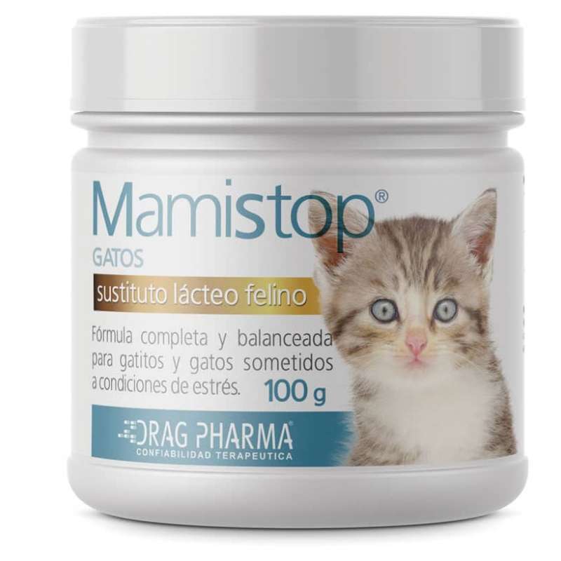 MamiStop Gatos 100 g. Sustituto lácteo en polvo Drag Pharma para gatitos huérfanos o en crecimiento y gatas lactantes.