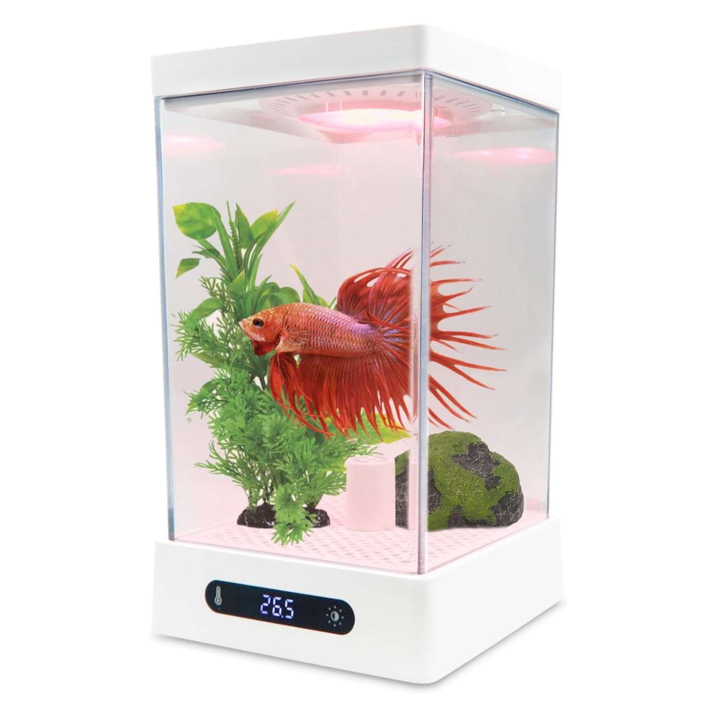 Mini acuario de acrílico inteligente 0.4 galón (13x11x20 cm). Base antideslizante, con calentador y sensor de temperatura, e iluminación LED RGB controlable por aplicación móvil.