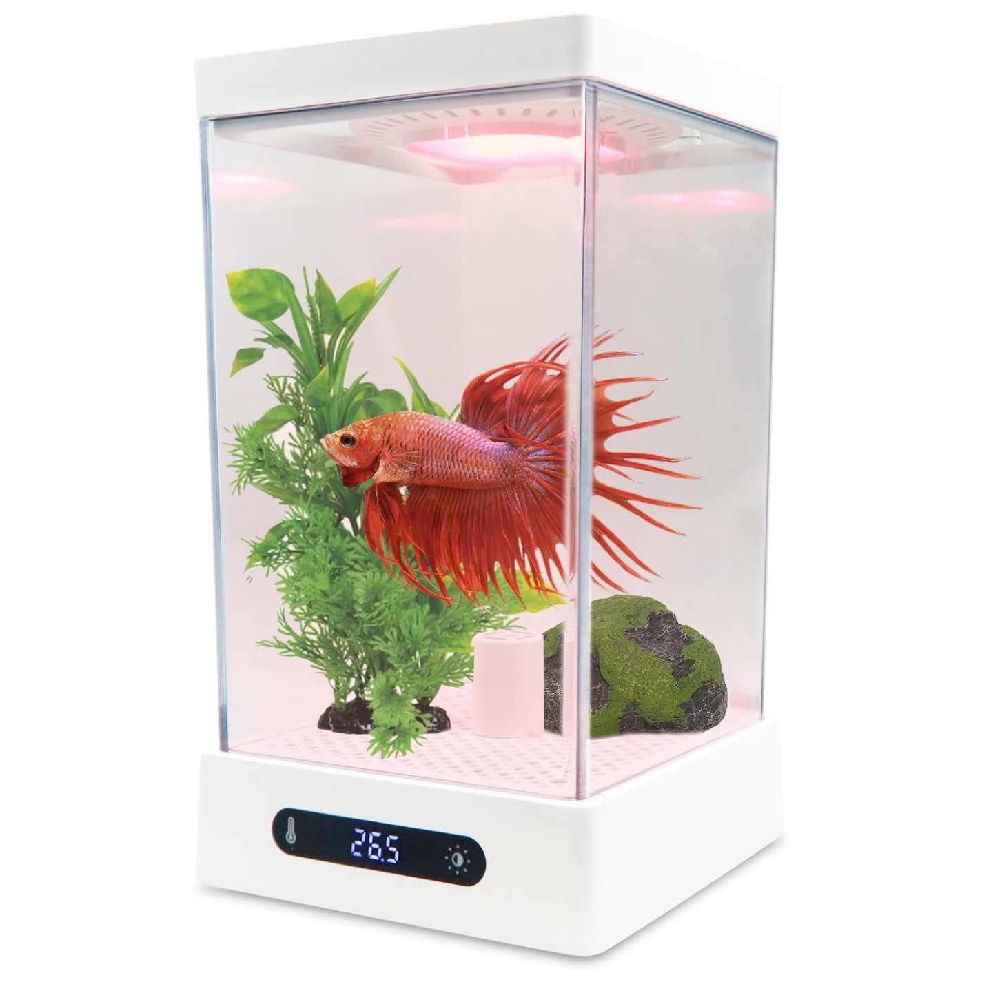 Mini acuario de acrílico inteligente 0.4 galón (13x11x20 cm). Base antideslizante, con calentador y sensor de temperatura, e iluminación LED RGB controlable por aplicación móvil.