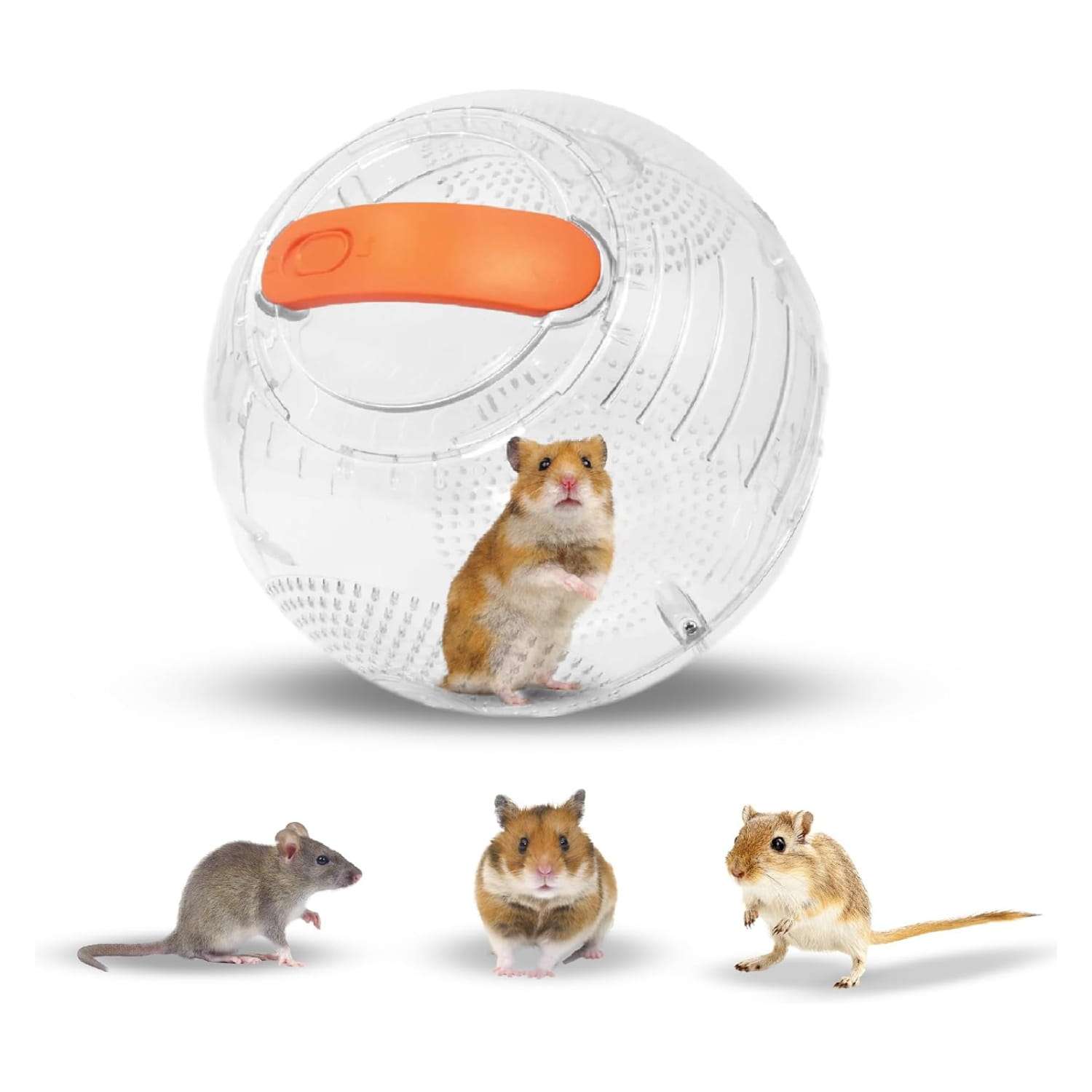 Mini Bola de Ejercicio Transparente (18 cm) con Mecanismo de Bloqueo Galardonado. Pelota segura y ventilada para Hámster Enano, Jerbos y Ratones.