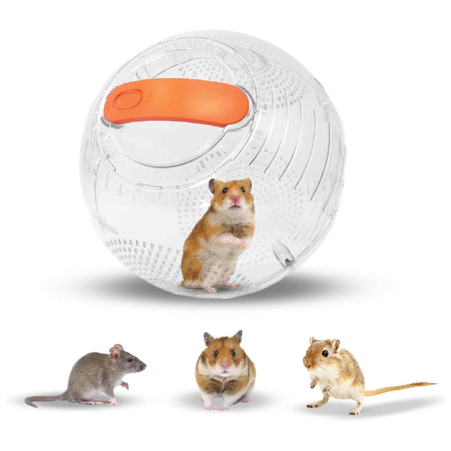 Mini Bola de Ejercicio Transparente (18 cm) con Mecanismo de Bloqueo Galardonado. Pelota segura y ventilada para Hámster Enano, Jerbos y Ratones.
