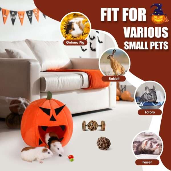 Nido Iglú Calabaza XL (12.6") para Cobaya (Cuy), Hurón y Conejo Enano. Cama súper cálida, lavable con almohada extraíble.