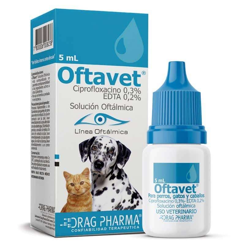 Oftavet Solucion Oftalmica. Colirio antibiotico con Ciprofloxacino 0.3% y EDTA. Trata infecciones oculares en perros y gatos.