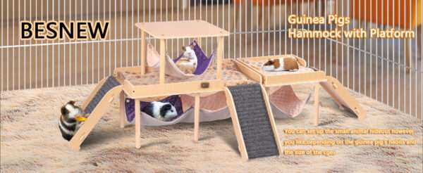 Plataforma Grande para Cuy (60x33 cm). Hamaca 2 en 1, Escaleras de Fieltro seguras y Diseño Plegable. Ideal para Roedores Grandes.