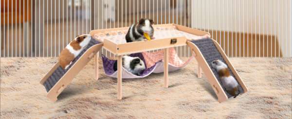 Plataforma Grande para Cuy (60x33 cm). Hamaca 2 en 1, Escaleras de Fieltro seguras y Diseño Plegable. Ideal para Roedores Grandes.