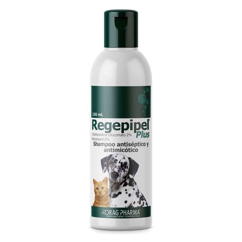 Regepipel Plus Shampoo. Antiseptico y antimicotico con Clorhexidina 2 por ciento y Miconazol 2 por ciento. Para dermatitis e infecciones en perros y gatos.