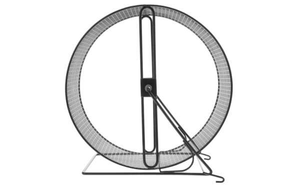 Rueda de Ejercicio Súper Silenciosa de Hierro (26 cm). Diseño robusto y duradero para Hámster Sirio, Oso Dorado y Erizos.