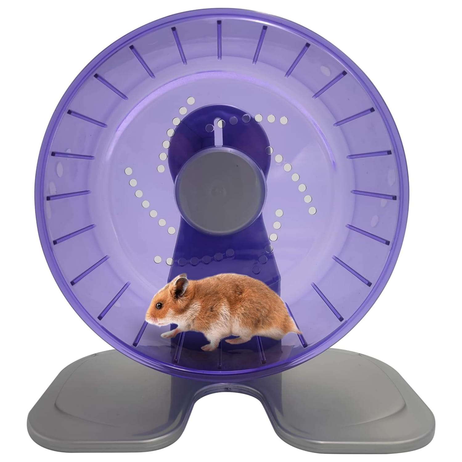 Rueda de ejercicio silenciosa y ajustable para hamsters y roedores pequeños.